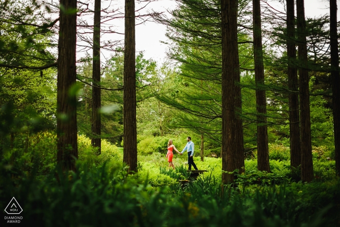 Photo by: <a href="https://www.wpja.com/photos/diamond-award-top-wedding-engagement-photographer/2475981">Miguel Gonzalez - Abington Pennsylvania Longwood Gardens Engagement Portrait Session - A walk through the trees