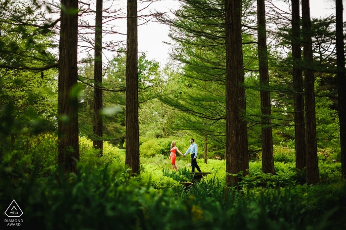 Longwood Gardens Engagement Portrait Session - Una passeggiata tra gli alberi