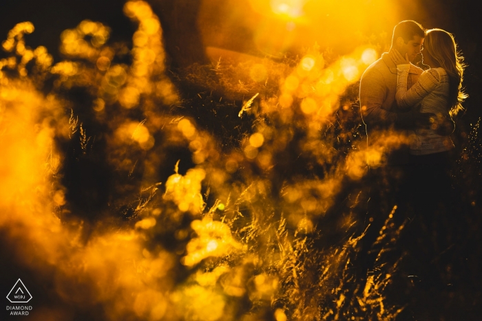 Fotografo di fidanzamento di Longwood Gardens: "Eravamo lì durante l'ora d'oro, quindi siamo diventati oro".