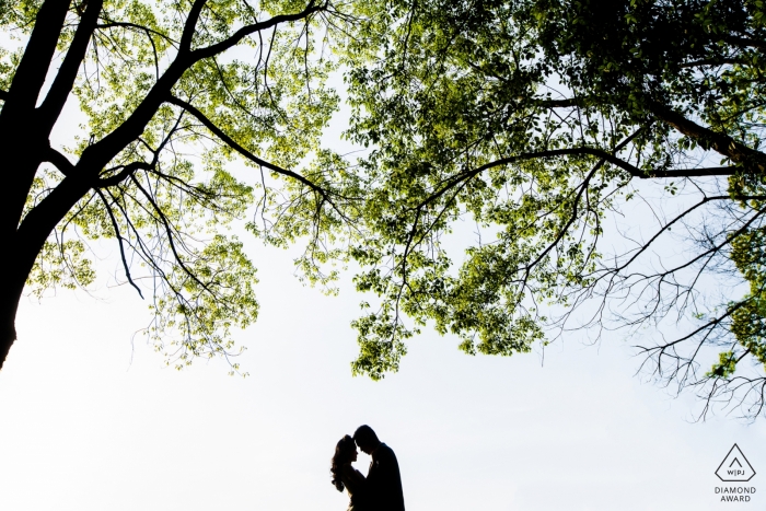 A couple is silhouetted as they stand beneath trees on a bright, sunny day in this engagement photo by a Zhejiang, China photographer.