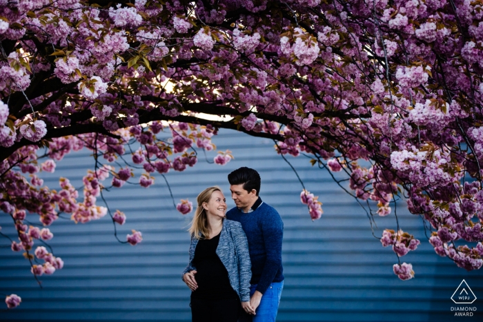 Foto von: <a href="https://www.wpja.com/photos/diamond-award-top-wedding-engagement-photographer/2482051"> Sanne De Block - Wijnegem Antwerpen Ein Paar hält Hände unter einem Baum, der mit rosa Blumen in Wijnegem während dieses Verlobungsfotoshootings von einem Fotografen Antwerpens, Flandern blüht.