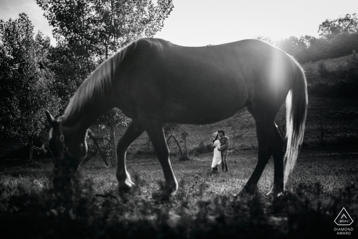 Photo by: <a href="https://www.wpja.com/photos/diamond-award-top-wedding-engagement-photographer/2489541">Paolo Ferrera - Alvito Frosinone In Alvito, France, a couple can be seen standing in a field in the distance beyond a horse that stands in the foreground in this engagement photo captured by a Lazio photographer.