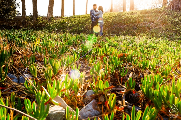 Photo by: <a href="https://www.wpja.com/photos/diamond-award-top-wedding-engagement-photographer/2496676">Chris Shum - Sunnyvale California A couple can be seen in the distance standing outside in the sunlight in this engagement photo session by a San Francisco, CA photographer.