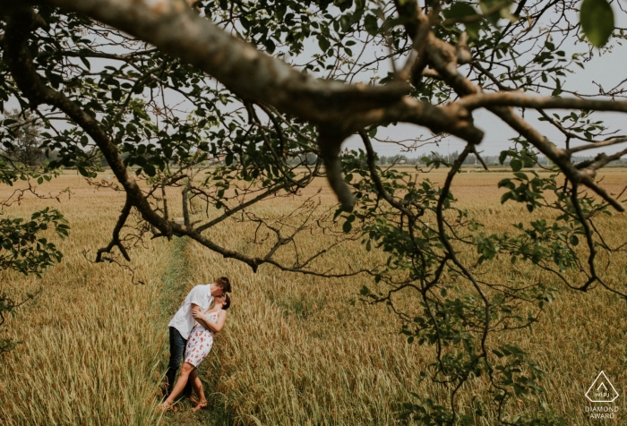 Dieses verlobte Paar küsst sich auf einem Feld während seines Shootings vor der Hochzeit in Hoi An Vietnam