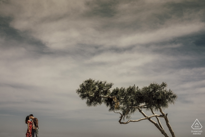 couple de dinde mersin et un arbre solitaire au cours de la session de portrait pré mariage