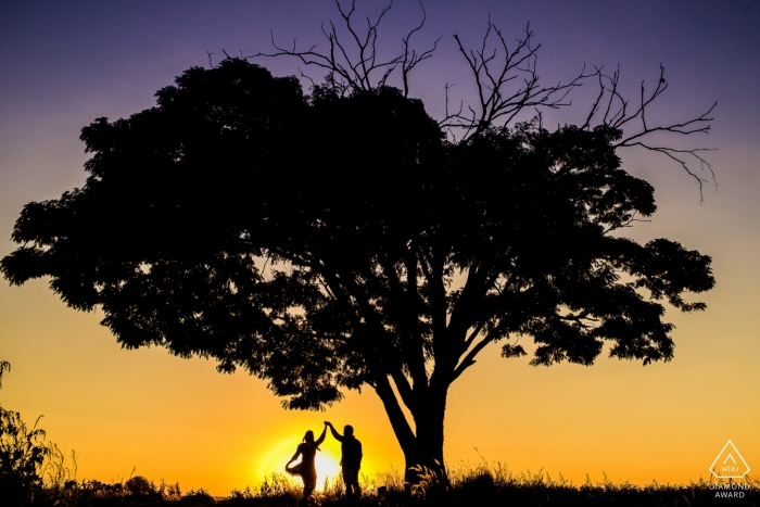 Holambra Verlobungsfotoshooting – Silhouette tanzendes Porträt am Baum