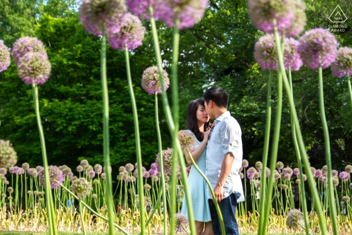 Boston Public Garden Engagement Shoot - Die Blumen sind größer als das Paar, aber im Vergleich zu ihrer Liebe klein.