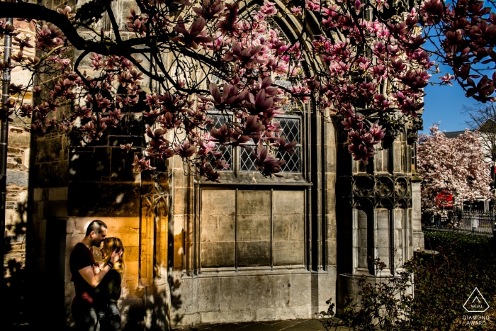 Photo by: <a href="https://www.wpja.com/photos/diamond-award-top-wedding-engagement-photographer/2537431">Orçun Yalçın - Ankara Ankara Aachen Town Hall, Aachen, Germany PreWedding Shoot - Couple hugging under the magnolia tree
