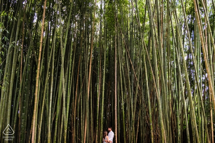 Coimbra, Portugal couple in a bamboo forest during their engagement photo shoot