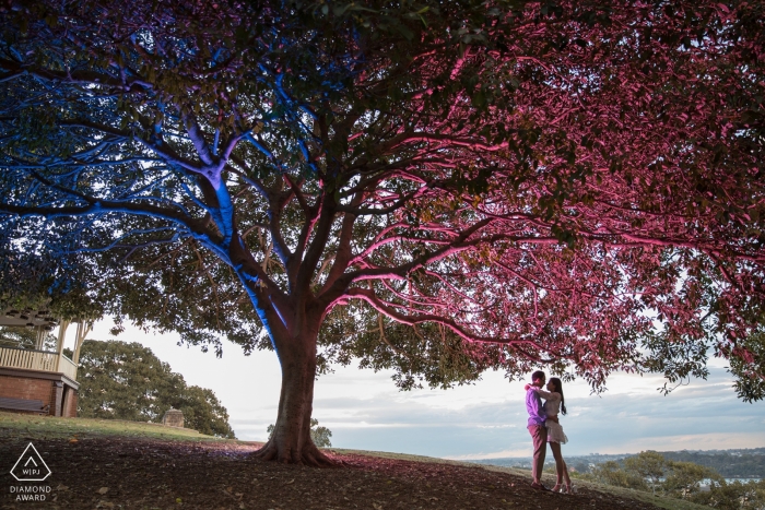 Observatory Hill, Sydney NSW Engagement Photographer: "Pour ce portrait de fiançailles, j'ai utilisé deux flashs, l'un avec du bleu et l'autre avec du gel magenta. J'ai déclenché les flashs à distance pour obtenir cette image au crépuscule."