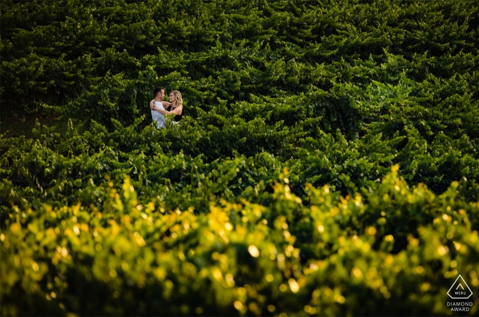 Photo: <a href="https://www.wpja.com/photos/diamond-award-top-wedding-engagement-photographer/2543689"> James Nix - Charlotte, Caroline du Nord Dennis Vineyards Engagement Portrait Session pour un jeune couple amoureux.