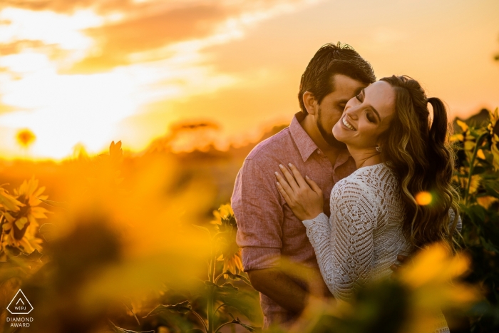 Holambra engagement portrait of a couple in the flower fields