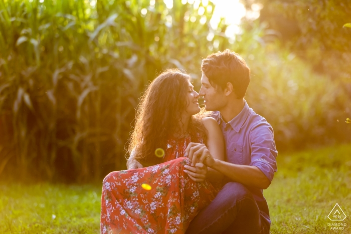 特雷维索PreWedding一对夫妇在玉米田附近的肖像。