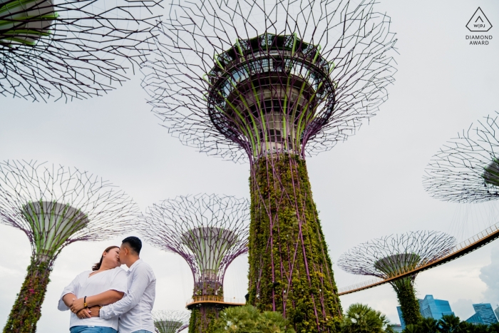 Photo by: <a href="http://www.wpja.com/photos/diamond-award-top-wedding-engagement-photographer/2546931">Vu Nguyen - Ho Chi Minh Singapore Engagement Photographer said: Singapore has a lot of interesting structure and these giant trees attracted to me. I decided to shoot these trees with couple.