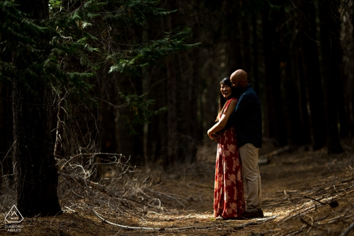 Fotografia de noivado em uma floresta em Alta, Califórnia | Luz solar rastejando através das árvores para iluminar o casal de noivos