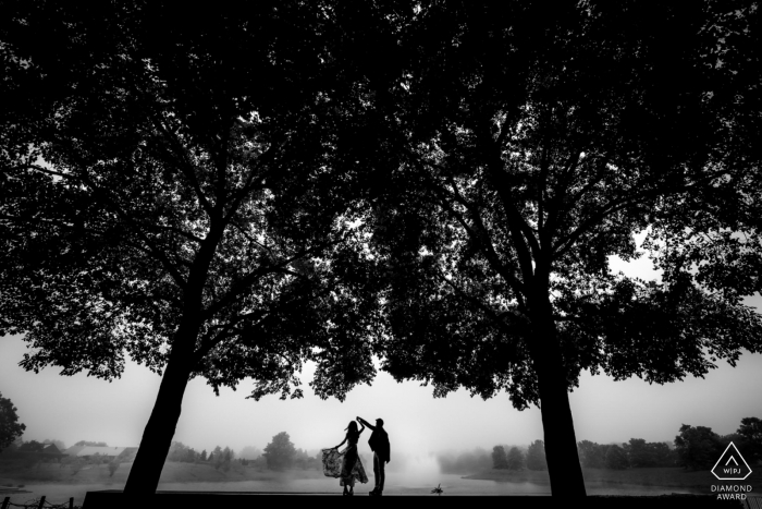 Photographie de fiançailles pour Jardin botanique, Chicago - Image contient: noir et blanc, silhouette, arbres