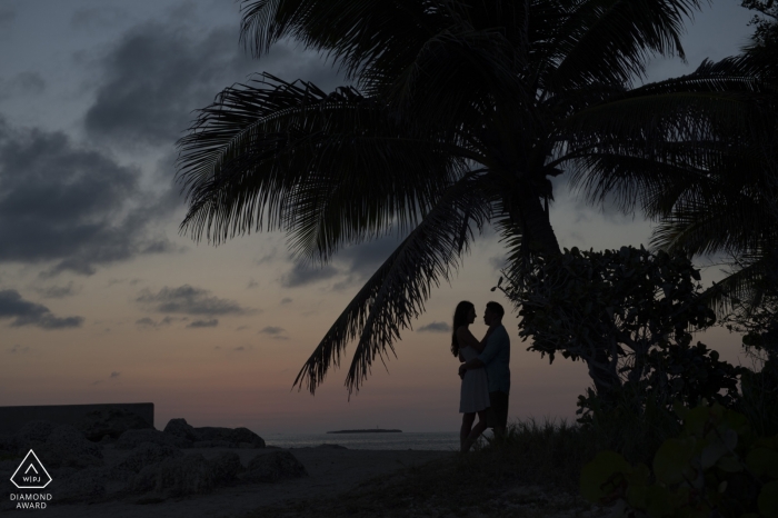 Fotógrafo de compromiso para Fort Zach Florida - La imagen contiene: pareja, retrato, silueta, anochecer, palmeras, árboles