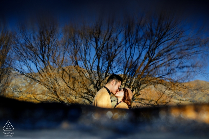 Engagement Photography for New Zealand - Wananka. Image contains: rock, hill, couple, kiss, tree