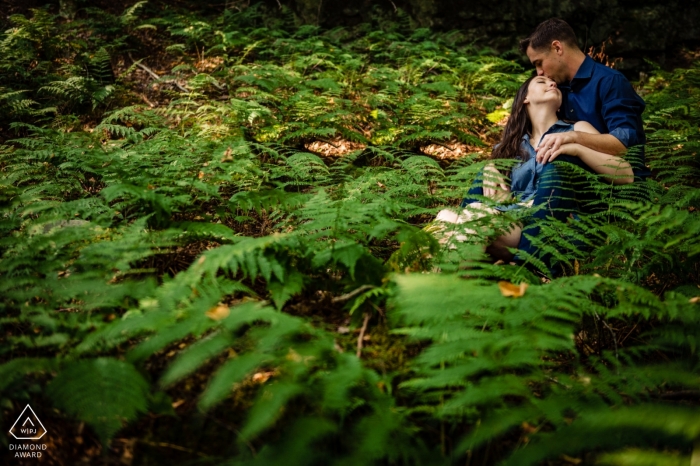 Into the ferns during session for Engagement Portraits in Blackwater Falls West Virginia Into the ferns... Engagement Portraits in Blackwater Falls West Virginia
