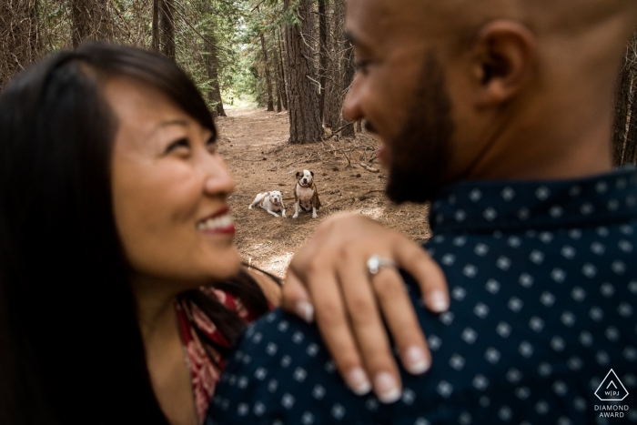 Foto: <a href="https://www.wpja.com/photos/diamond-award-top-wedding-engagement-photographer/2552716"> Kevin Sawyer - Lake Tahoe, Kalifornien Hunde im hintergrund von enagaged paar mit ring | Wald in Alta, Kalifornien