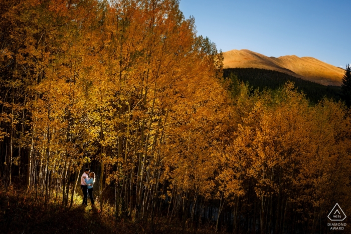 Breckenridge, CO Fotógrafo de noivado: Retroiluminado em um trecho de árvores douradas, com Mt Boreas iluminado pelo sol ao fundo.