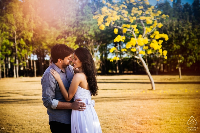 Capitolio - Brazil Couple hugging in the sunlight during engagement photo session for portraits