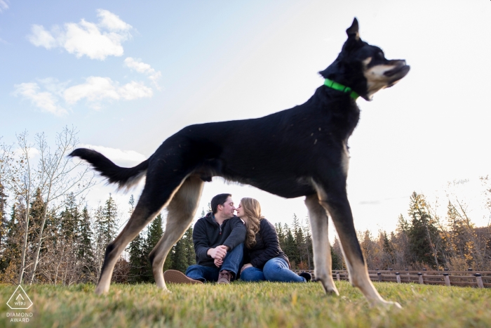 Dog frames couple sitting on hill during engagement session in Millcreek, Edmonton, Alberta