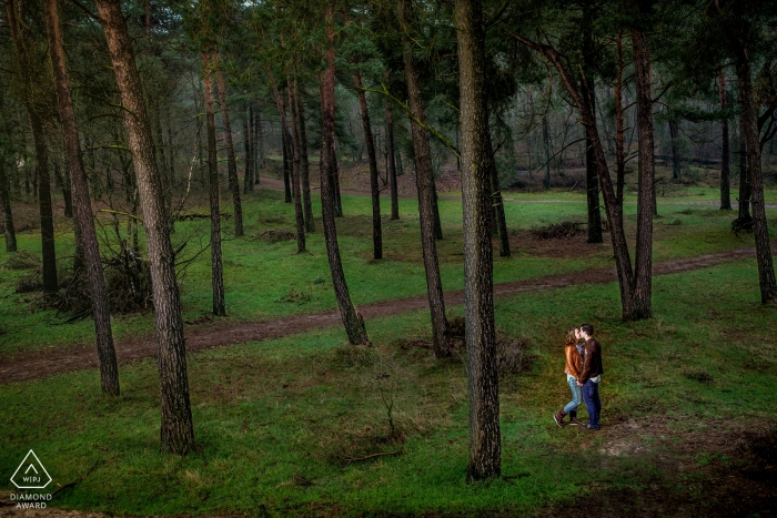 Drunense Duinen Holland sesión de fotos de compromiso | Pareja de enamorados en un bosque