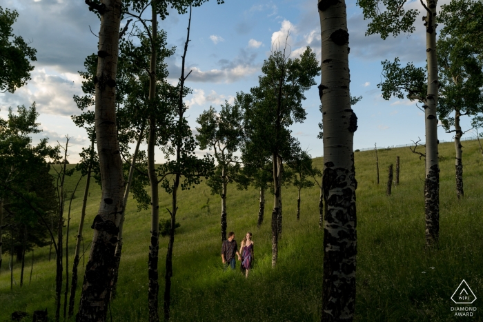 Foto von: <a href="https://www.wpja.com/photos/diamond-award-top-wedding-engagement-photographer/2558436"> Brenda Bergreen - Evergreen Colorado Paare, die in den Espenbäumen bei Sonnenuntergang wandern. Verlobungsfotograf für Woodland Park.
