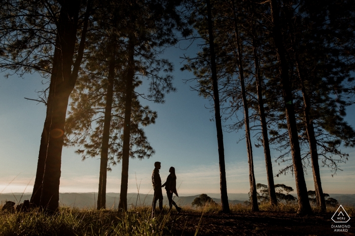 Photo by: <a href="https://www.wpja.com/photos/diamond-award-top-wedding-engagement-photographer/2559193">Fabiano Franco - Itapira São Paulo Engaged couple in the tall trees at sunset | Poços de Caldas - Minas Gerais PreWedding Photographer