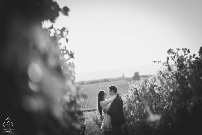 Foto de: <a href="https://www.wpja.com/photos/diamond-award-top-wedding-engagement-photographer/2561150"> Andrea Sampoli - Siena Siena Borgo San Felice, Siena Retrato en el viñedo - Sesión de compromiso