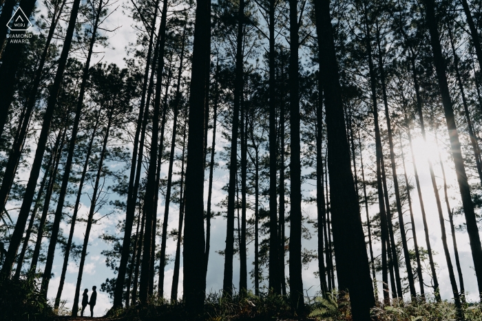 Dalat, Vietnam Forest prewedding pictures with tall trees overhead.