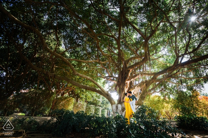 Photographe de pré-mariage à Xiamen: Que leur amour s'épanouisse comme cet arbre imposant