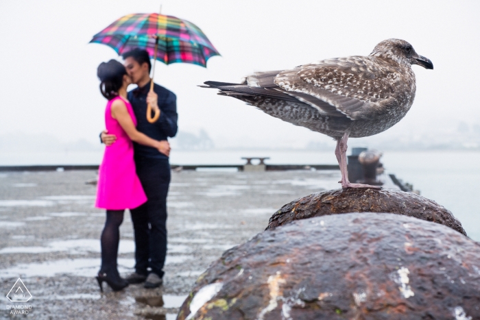 Ritratti di coppia di San Francisco per il pre-matrimonio | Il mare, l'uccello e gli innamorati