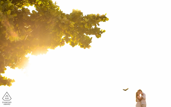 Penedo, Alagoas Engagement Photography - Portrait contains: Dance and poetry at sunset 