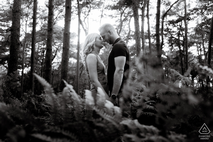 Chicksands Wood, UK Engagement Portrait Session in the ferns in the forest Chicksands Wood, UK Engagement Portrait Session - Image contains: face, facing, each, other, trees, sunlight, ferns