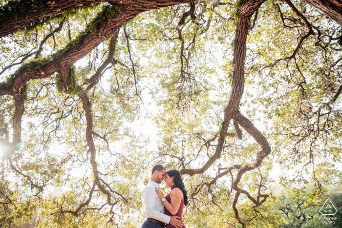 Engagement Photography - Image contains: Herman Park, Houston TX  Portraits of the couple