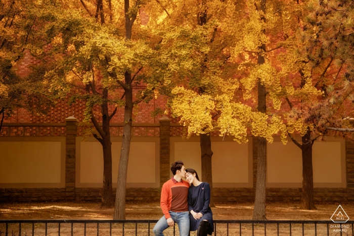 Séance photo avant le mariage à Beijing - Le portrait contient: automne, couleurs, feuilles, arbres