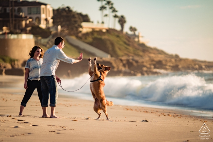 Sesión de fotos de compromiso de San Diego: la imagen contiene: perro, correa, playa, choca los cinco, olas, choques, arena