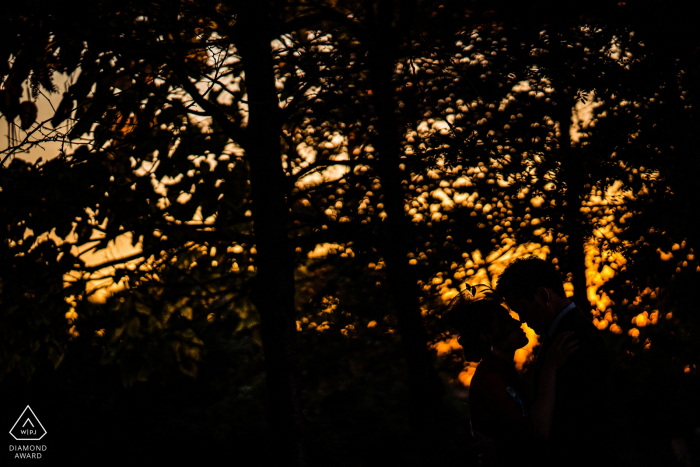 Dumbo vor Hochzeit, vor Braut- und Bräutigamschattenbild in den Bäumen mit orange Himmel