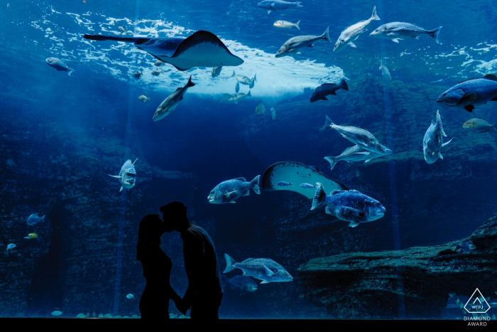 订婚的情侣肖像与开普敦水族馆背景