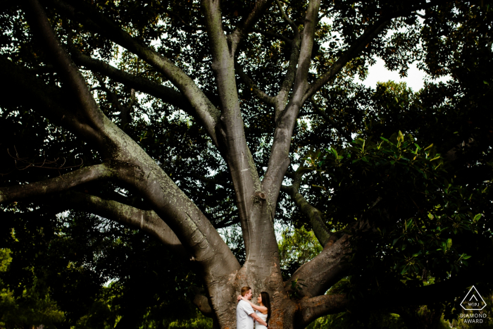 Western Australia Perth antes de los retratos de boda: una bonita foto juntos bajo un árbol gigante.