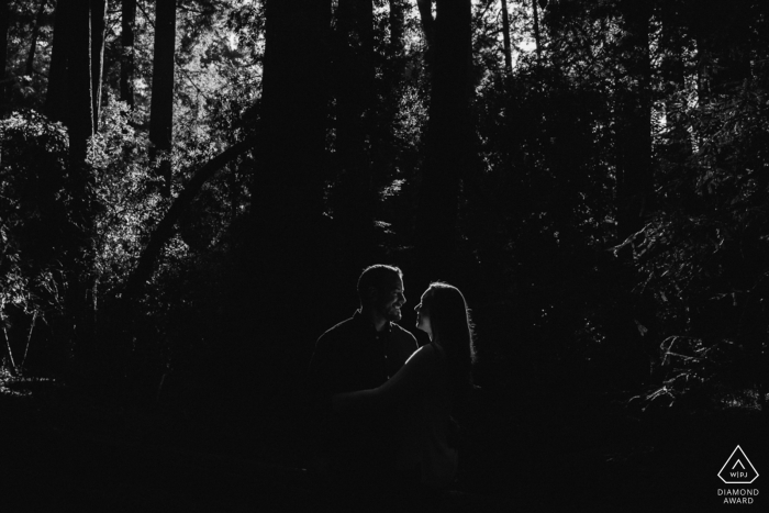 Foto del compromiso del parque estatal Henry Cowell Redwoods | Pareja iluminada por el sol