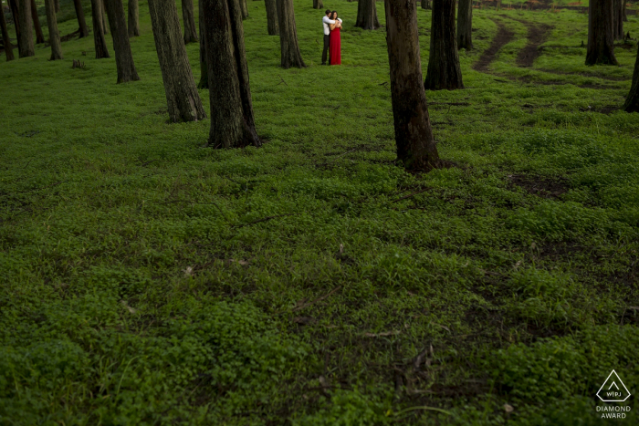 Photo by: <a href="https://www.wpja.com/photos/diamond-award-top-wedding-engagement-photographer/2577434">Ian Chin - San Francisco California California - Northern Presidio couple portraits in the grass below the trees