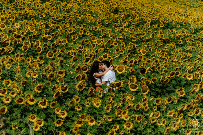 Photo by: <a href="https://www.wpja.com/photos/diamond-award-top-wedding-engagement-photographer/2577684">Pierpaolo Cialini - Corropoli Teramo Marche - Italy pre-wedding photo session in a field filled with Love and sunflowers