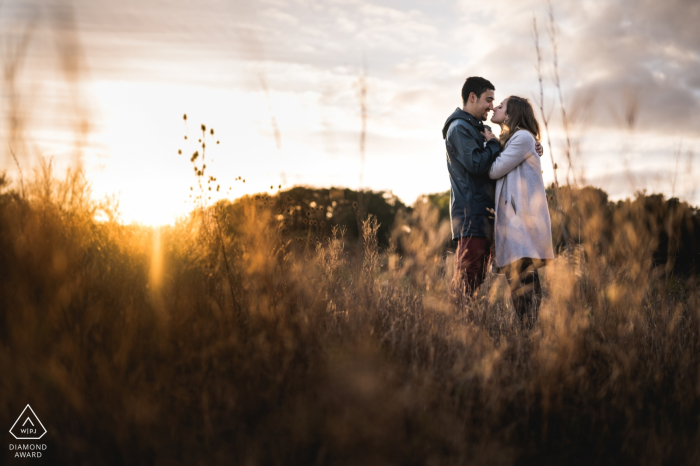 Agen, France sunset engagement portraits in the field with tall grass