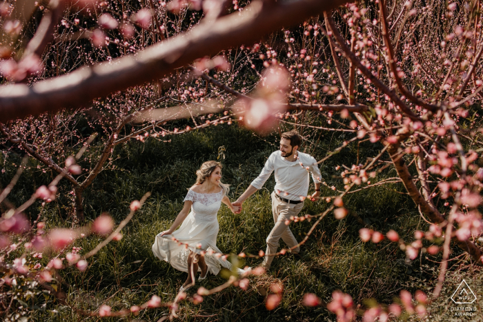 Bento Goncalves séance photo pré-mariée d'un couple courant dans les champs de pêche.