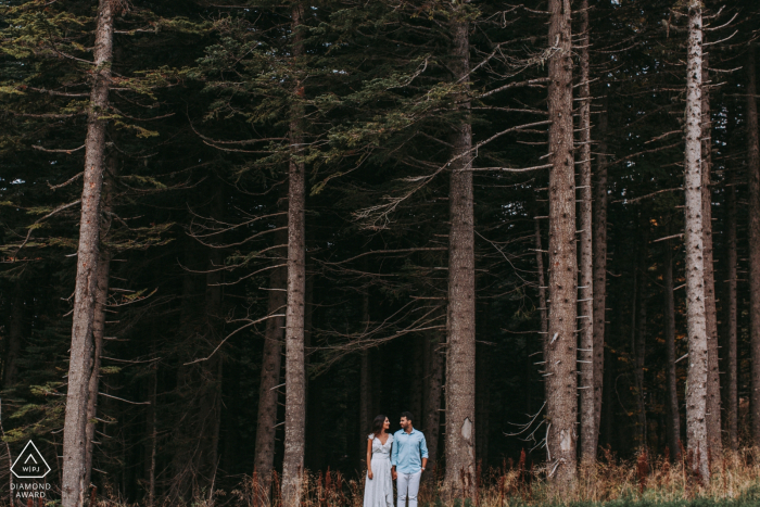 Bursa Engagment Photo Shoot - Große Bäume, große Liebe