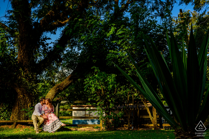 São Paulo - Joaquim Egidio Engagement Photo Session - Couple seeting near to the trees 