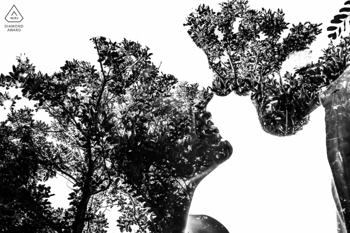 engagement couple portraits with trees Campinas - São Paulo couple portraits with trees